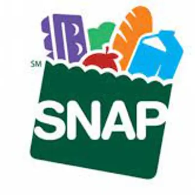 Green grocery bag SNAP logo