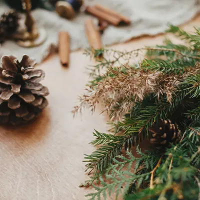 Balsam bough wreath supplies